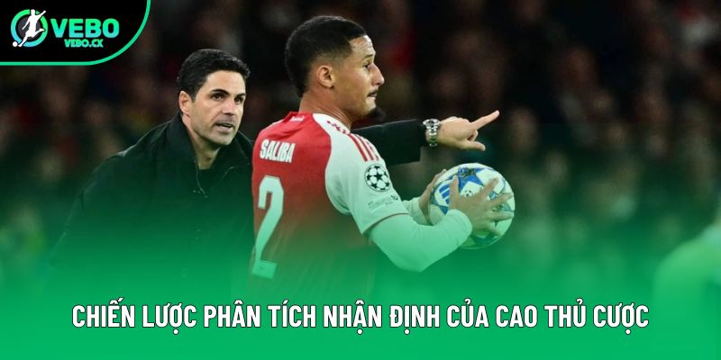 Chiến lược phân tích nhận định của cao thủ cược