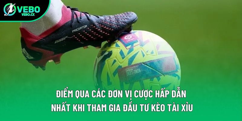 Điểm qua các đơn vị cược hấp dẫn nhất khi tham gia đầu tư kèo tài xỉu