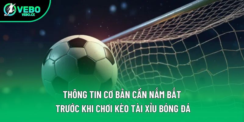 Thông tin cơ bản cần nắm bắt trước khi chơi kèo tài xỉu bóng đá