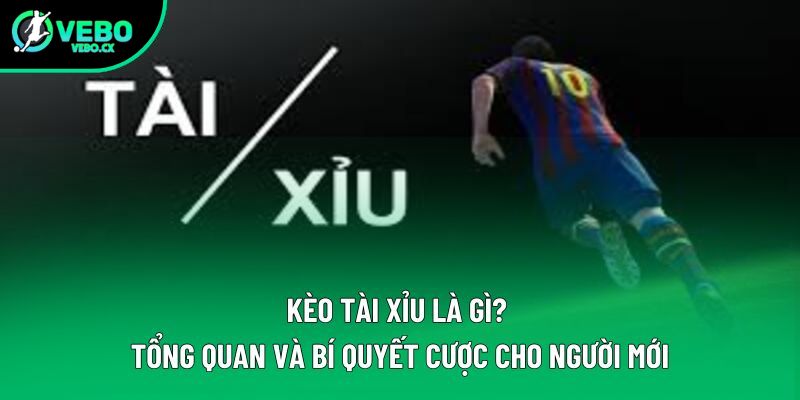 Kèo Tài Xỉu Bóng Đá | Khái Niệm Và Chi Tiết Cách Vận Hành