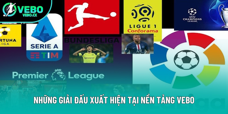 Những giải bóng đá xuất hiện tại trang web