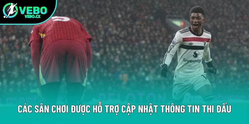 Các sân chơi được hỗ trợ cập nhật thông tin thi đấu