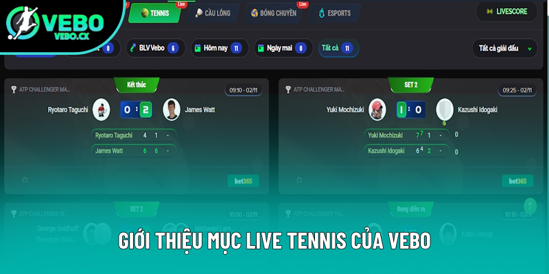 Giới thiệu mục phát sóng Tennis