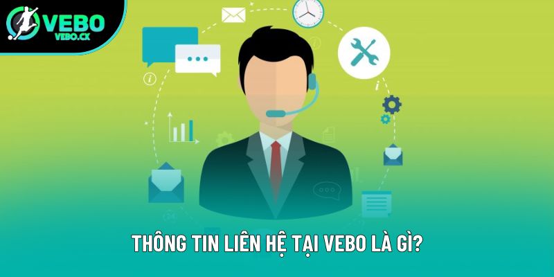 Thông tin liên hệ tại VEBO là gì?